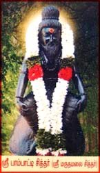 pambati siddar